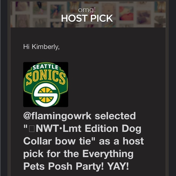 COPY -HPx4🐾Luxury Dog Collar with bow tie; Limited Edition - Picture 9 of 12